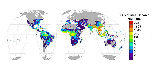 Geographic distribution of threatened reptiles. Reptile species are considered threatened if ranked as Vulnerable, Endangered, or Critically Endangered by The IUCN Red List of Threatened Species&trade;. Species richness refers to the number of different species that occur in an area. Warmer (redder) colors denote a larger number of threatened reptile species.&nbsp; (Picture: Cox, N. and Young, B. E., et al. Global reptile assessment shows commonality of tetrapod conservation needs. Nature (2022))