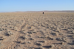 Dryland ecosystem in the Namib Desert (Namibia) (Picture: Martin Handjaba)