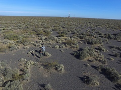 Researchers in one of the areas investigated in the study, in Argentinian Patagonia (Picture: Juan José Gaitán, INTA (Argentina))