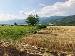 Farmland in the region Septemvri, Pazardzhik, Bulgaria. (Picture: Sebastian Lakner)