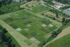 The Jena Experiment, funded by the German Research Foundation (DFG), started in 2002 and is one of the longest-running biodiversity experiments in Europe. (Picture: Jena Experiment)