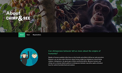 Screenshot der Citizen-Science-Plattform. Copyright chimpandsee.org
